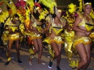 carnaval 2010_19