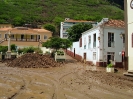 chuvas ribeira brava 2009_11